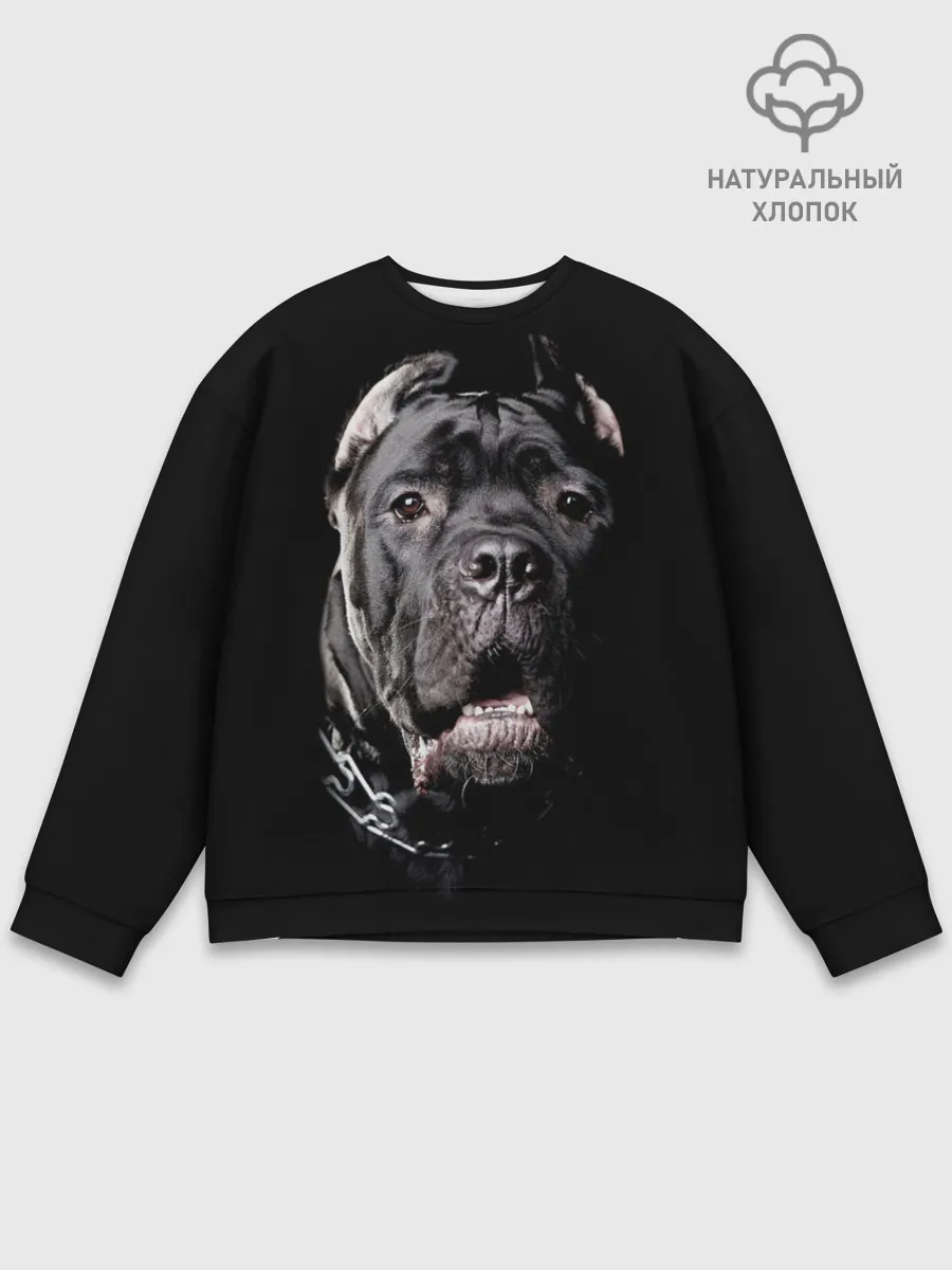 Мужской свитшот базовый / Мастиф