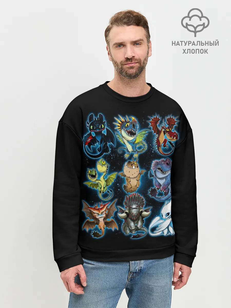 Мужской свитшот базовый / Как приручить дракона
