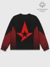 Мужской свитшот базовый / Astralis uniform 2019