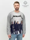 Мужской свитшот базовый / Metallica