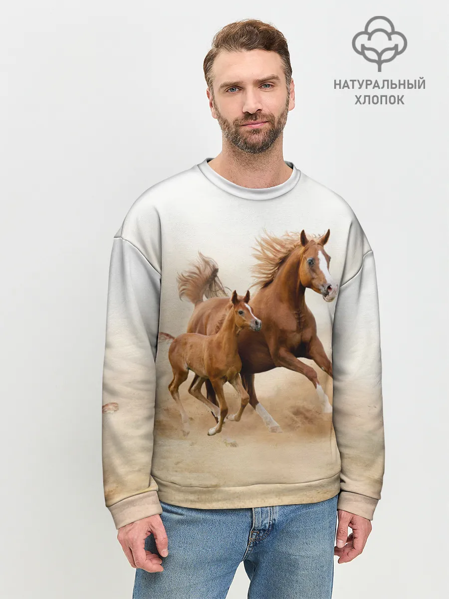 Мужской свитшот базовый / Лошадь с жеребенком