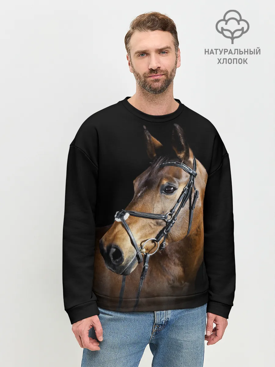 Мужской свитшот базовый / Гнедая лошадь