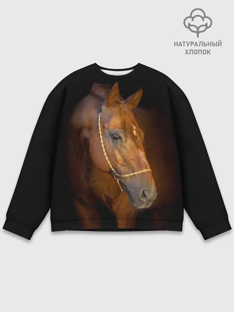 Мужской свитшот базовый / Гнедая лошадь