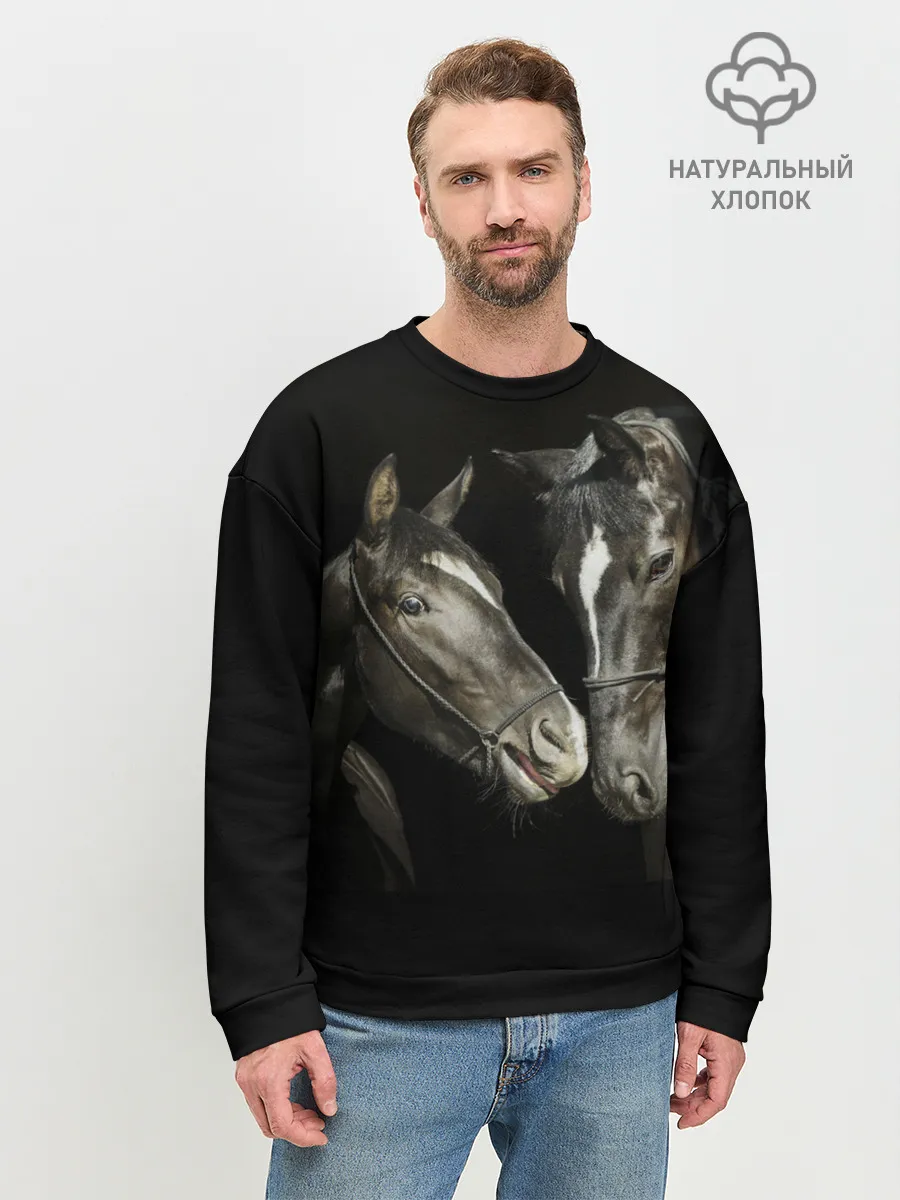 Мужской свитшот базовый / Лошади