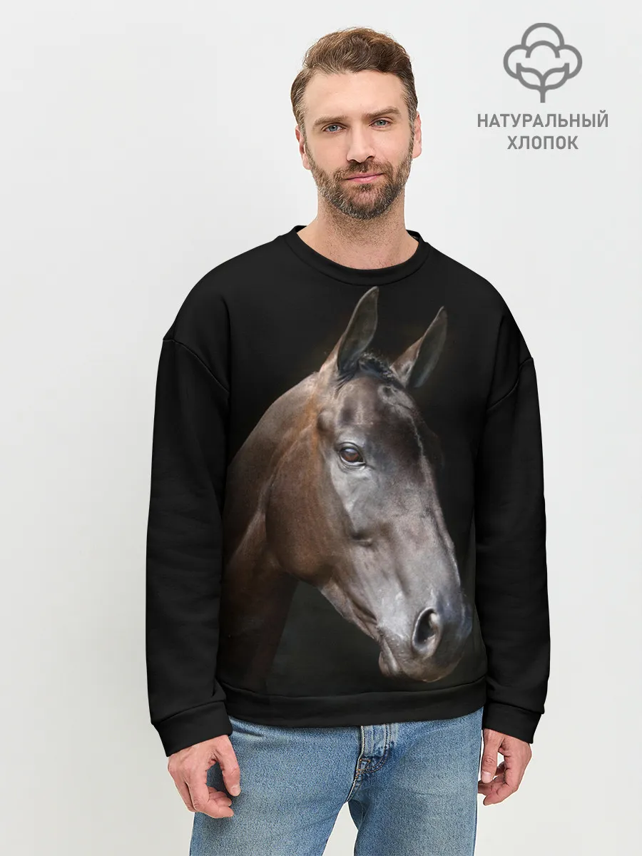 Мужской свитшот базовый / Лошадь