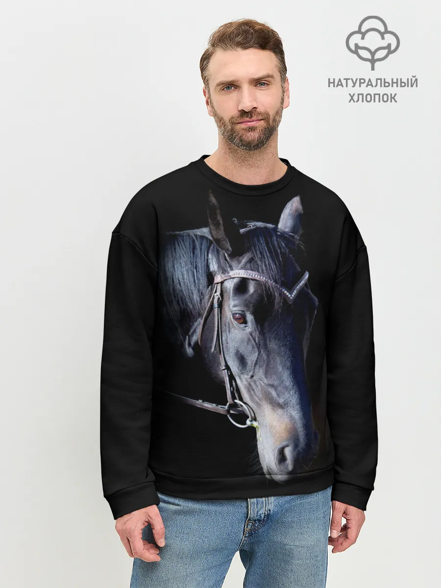 Мужской свитшот базовый / Конь вороной