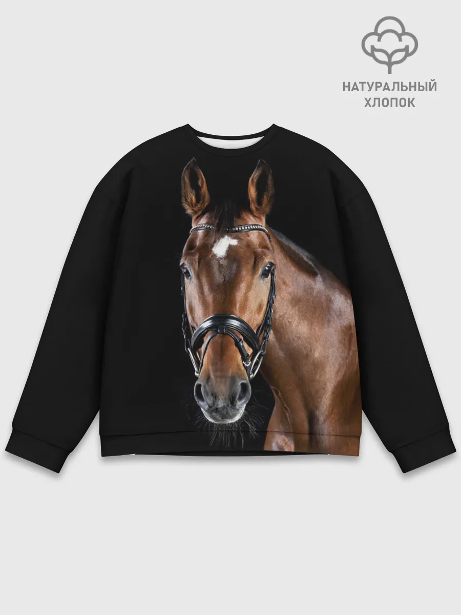 Мужской свитшот базовый / Гнедая лошадь