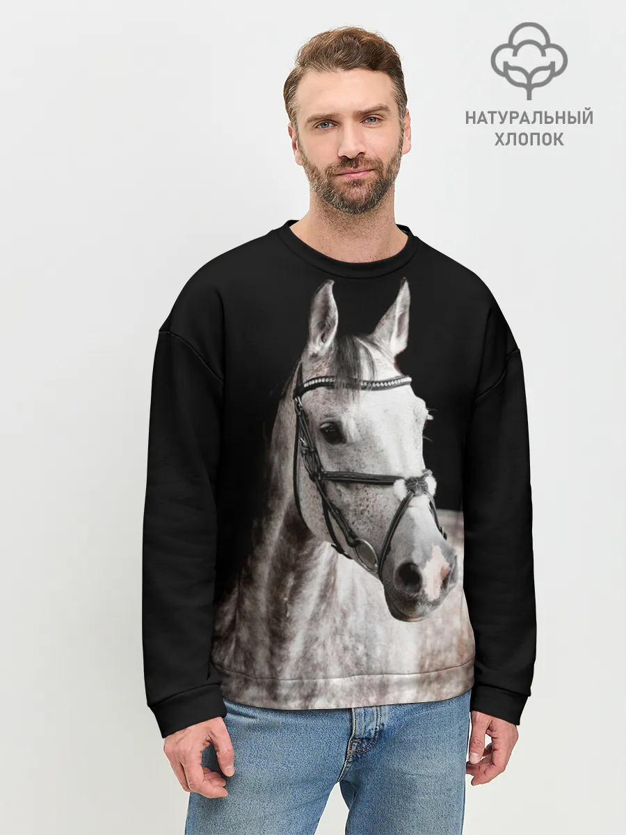 Мужской свитшот базовый / Серный в яблоках конь