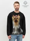 Мужской свитшот базовый / Йоркширский терьер
