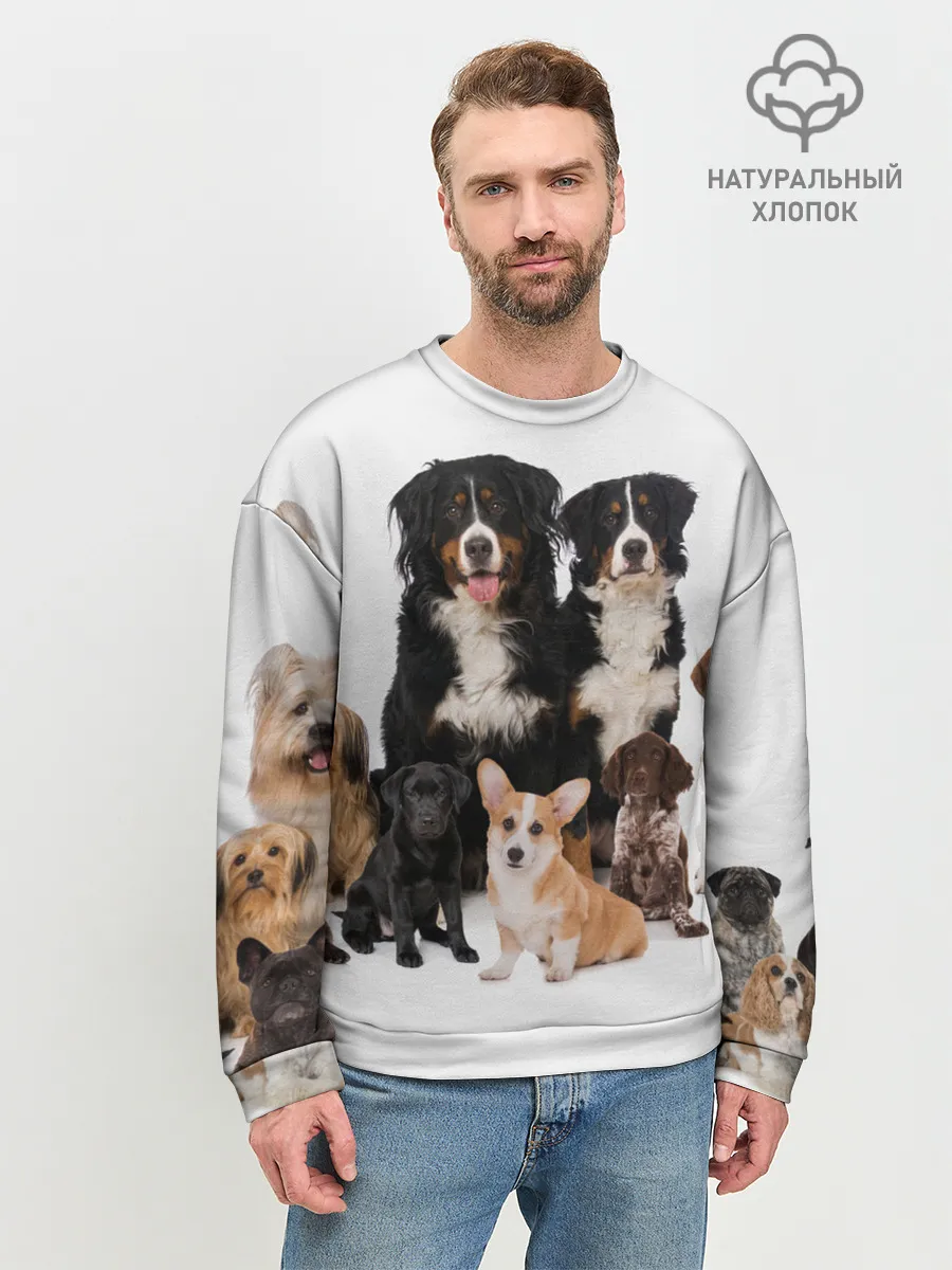 Мужской свитшот базовый / Породистые собаки