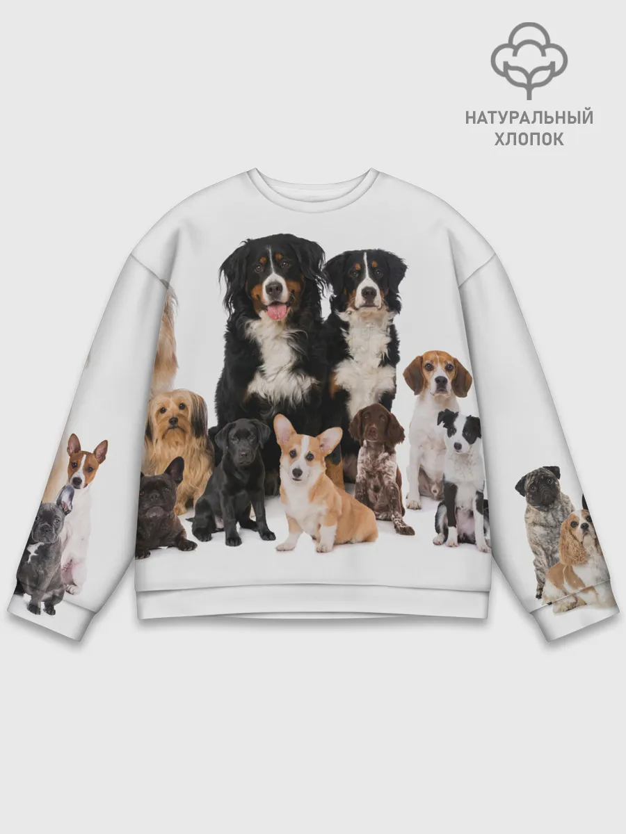 Мужской свитшот базовый / Породистые собаки
