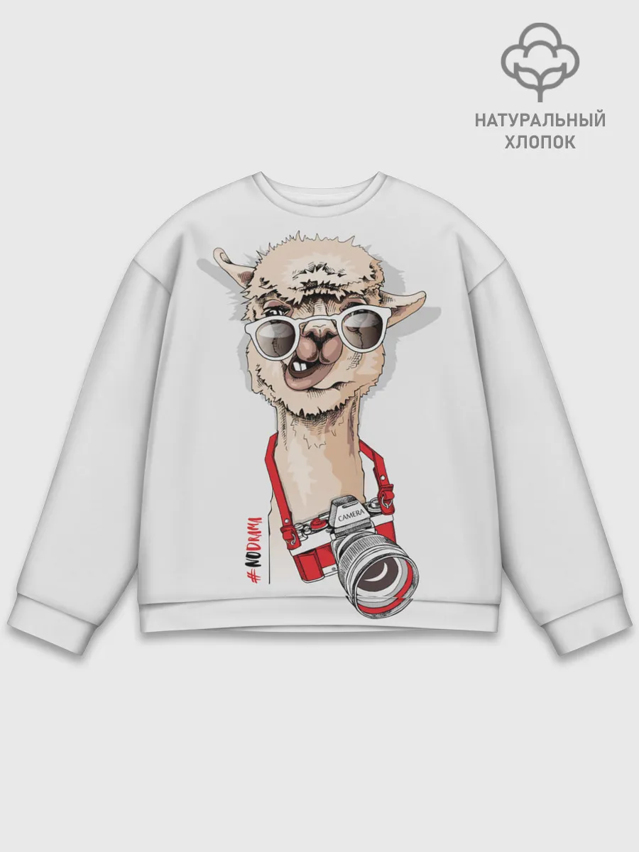 Мужской свитшот базовый / #NoDrama