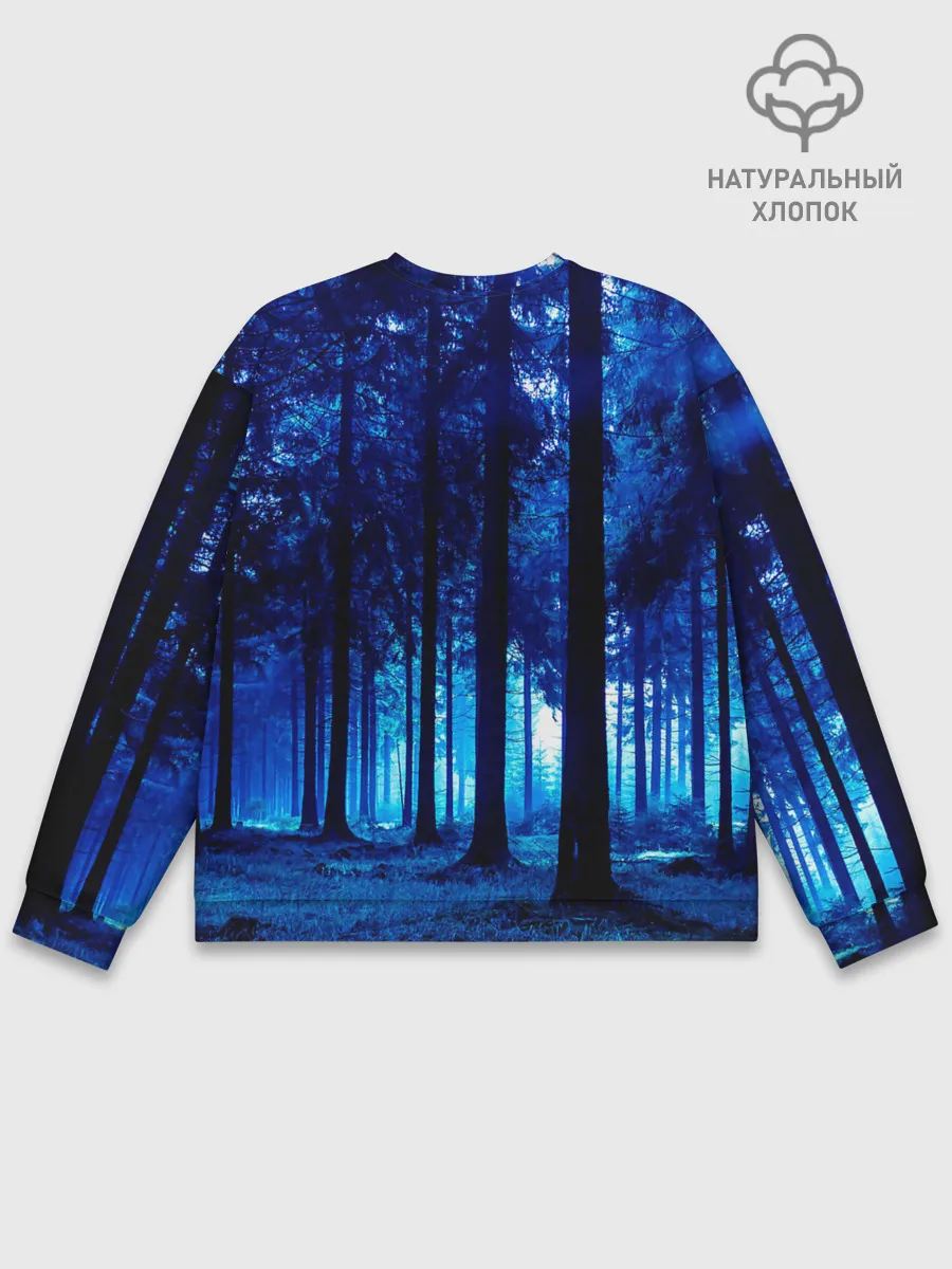 Мужской свитшот базовый / Burzum