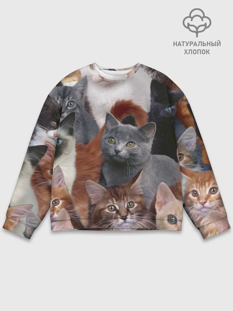 Мужской свитшот базовый / Много котов