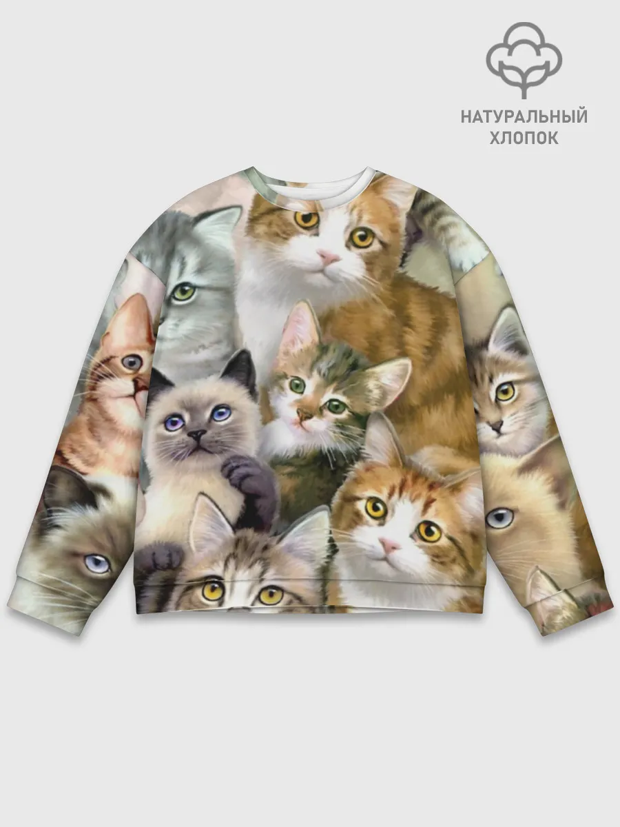 Мужской свитшот базовый / Котишики