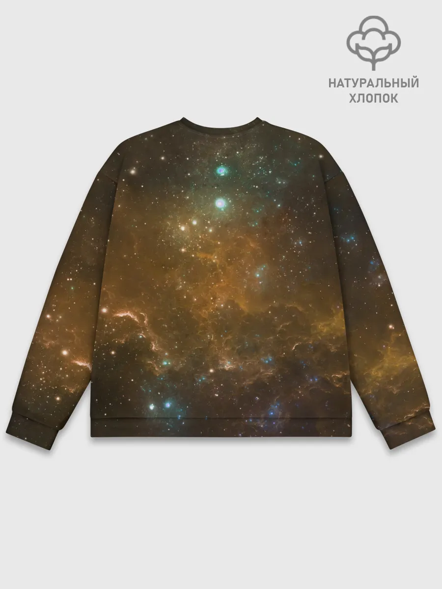 Мужской свитшот базовый / Night Fury