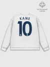 Мужской свитшот базовый / Kane home 19-20
