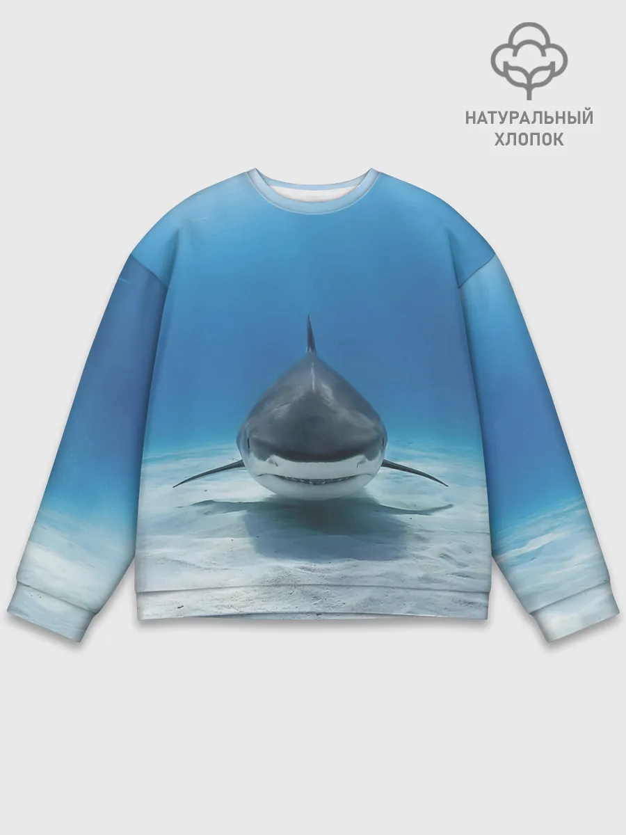 Мужской свитшот базовый / Анфас