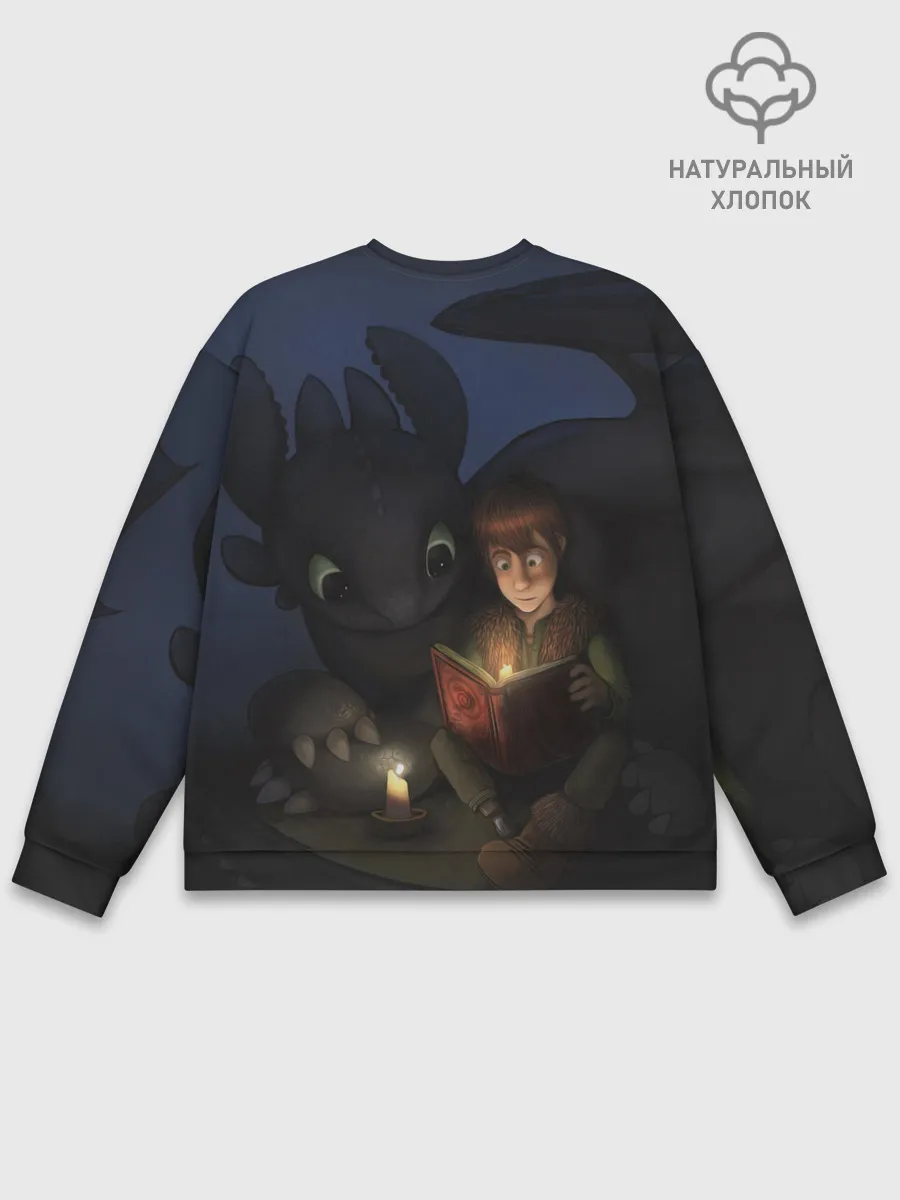 Мужской свитшот базовый / Как приручить дракона