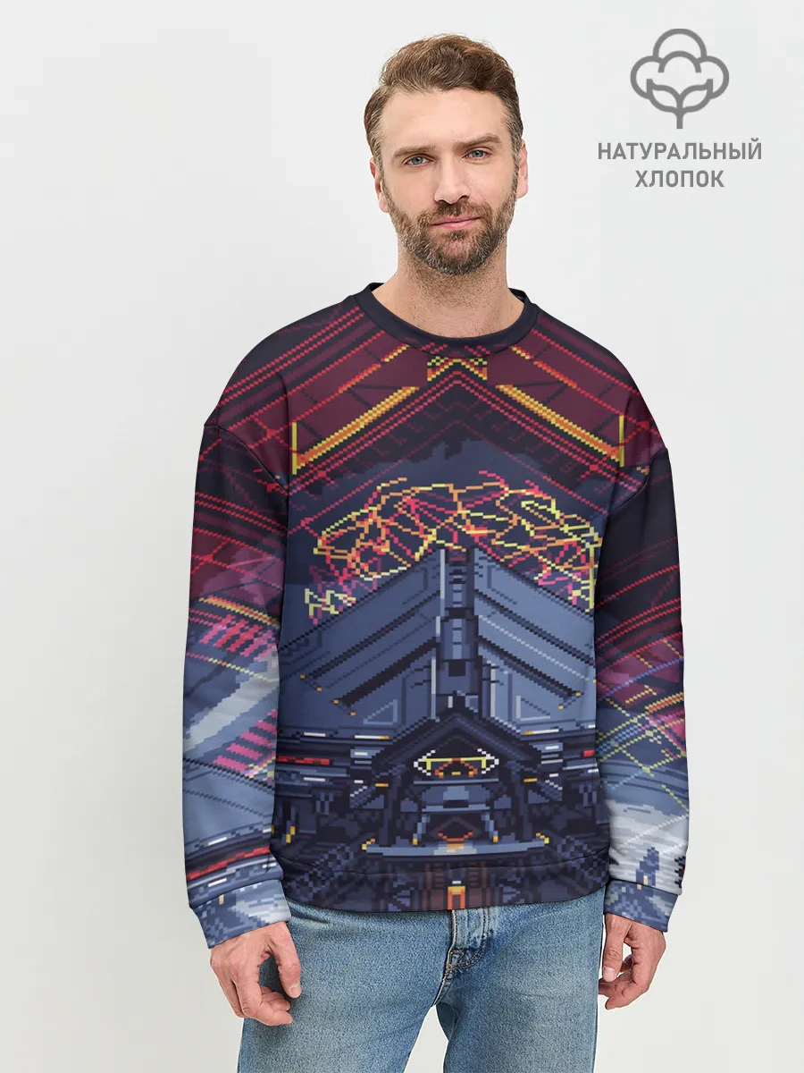 Мужской свитшот базовый / DESTINY