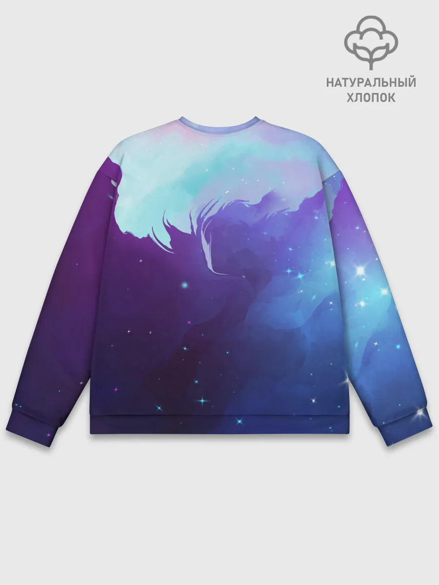 Мужской свитшот базовый / Skydiver