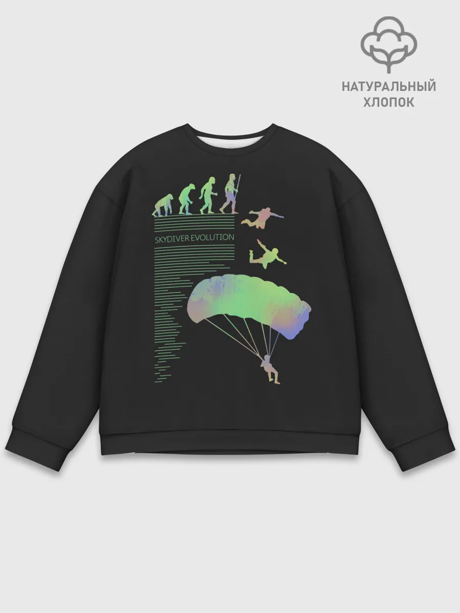 Мужской свитшот базовый / Skydiver evolution