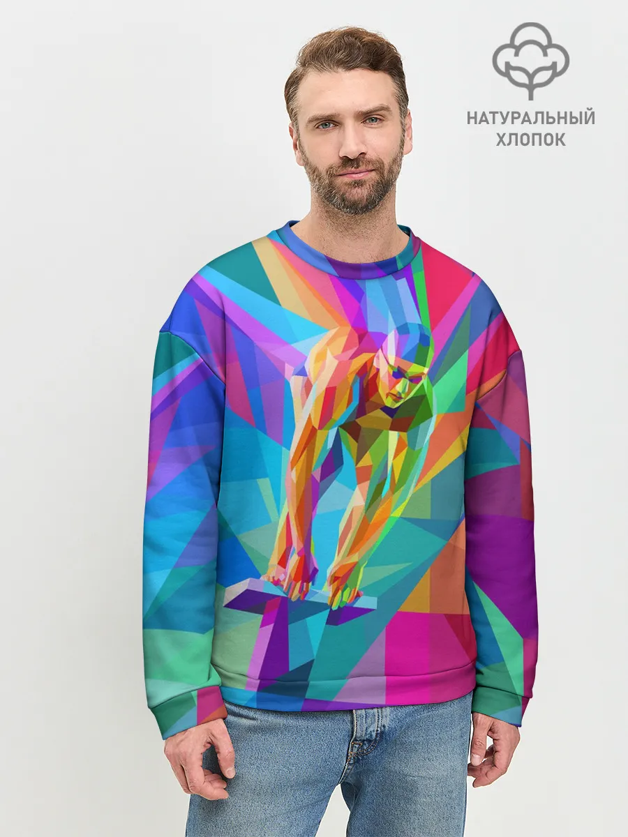 Мужской свитшот базовый / Пловец