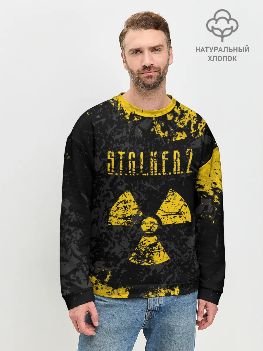 Мужской свитшот базовый / STALKER 2