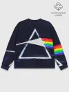 Мужской свитшот базовый / PINK FLOYD