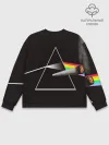 Мужской свитшот базовый / PINK FLOYD
