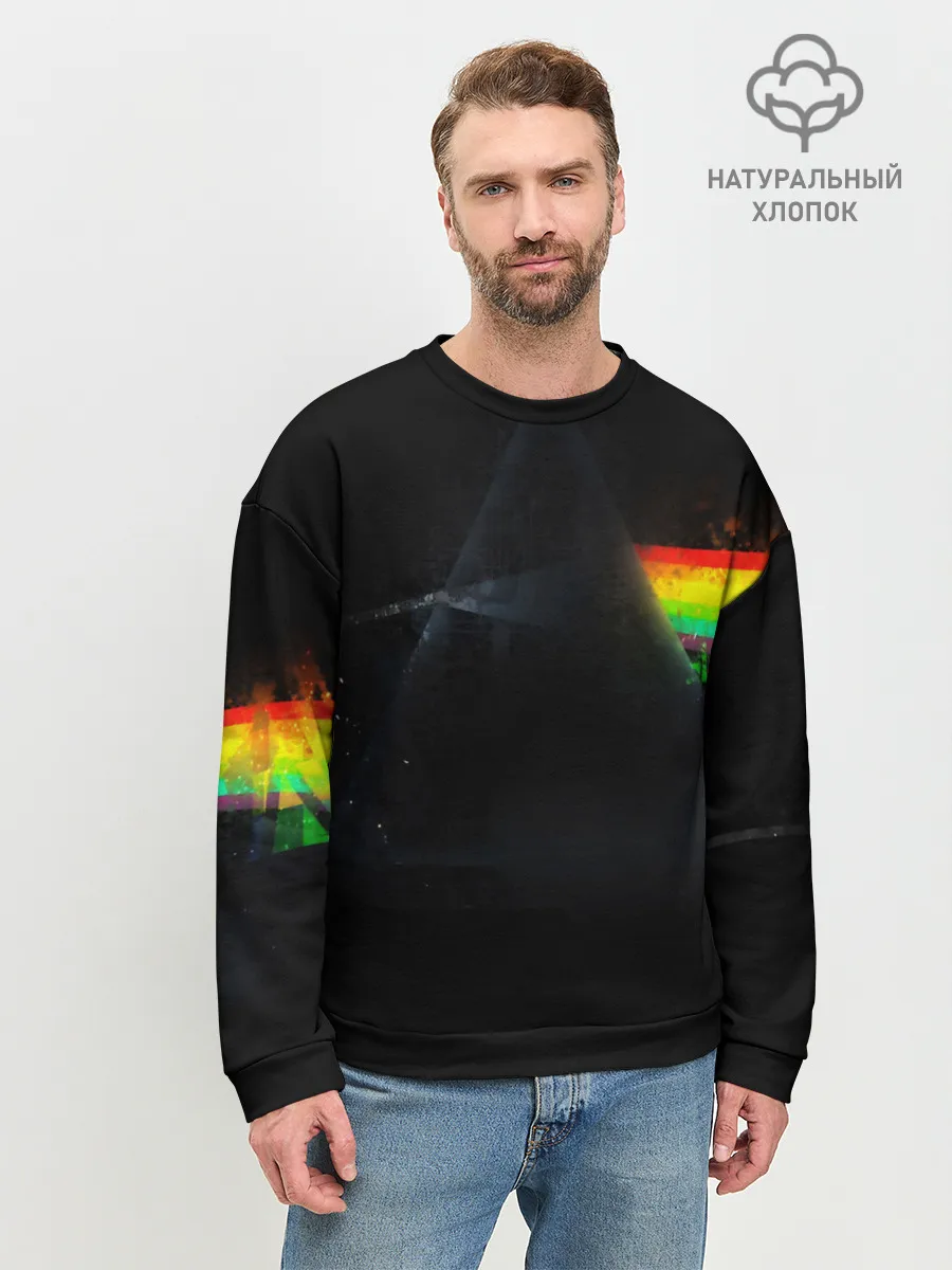 Мужской свитшот базовый / PINK FLOYD