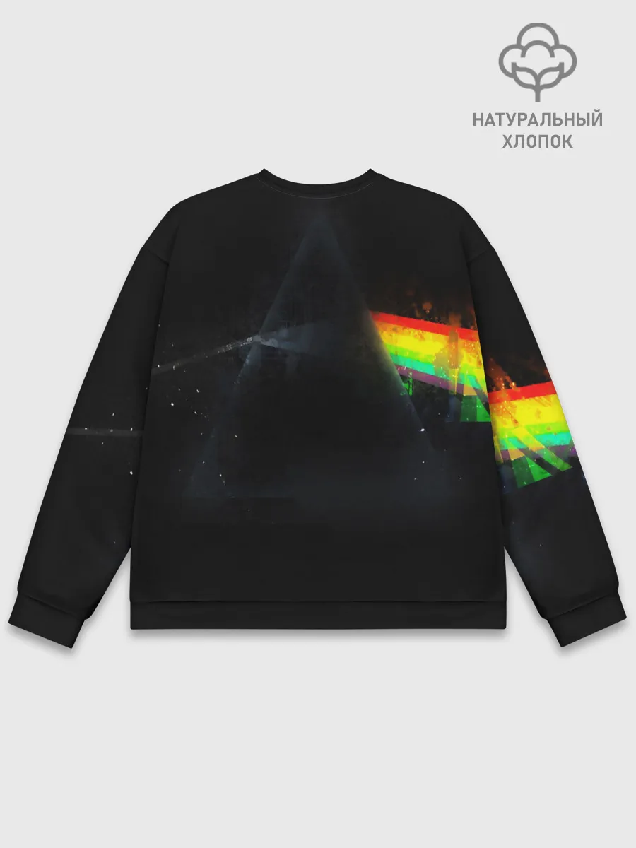 Мужской свитшот базовый / PINK FLOYD