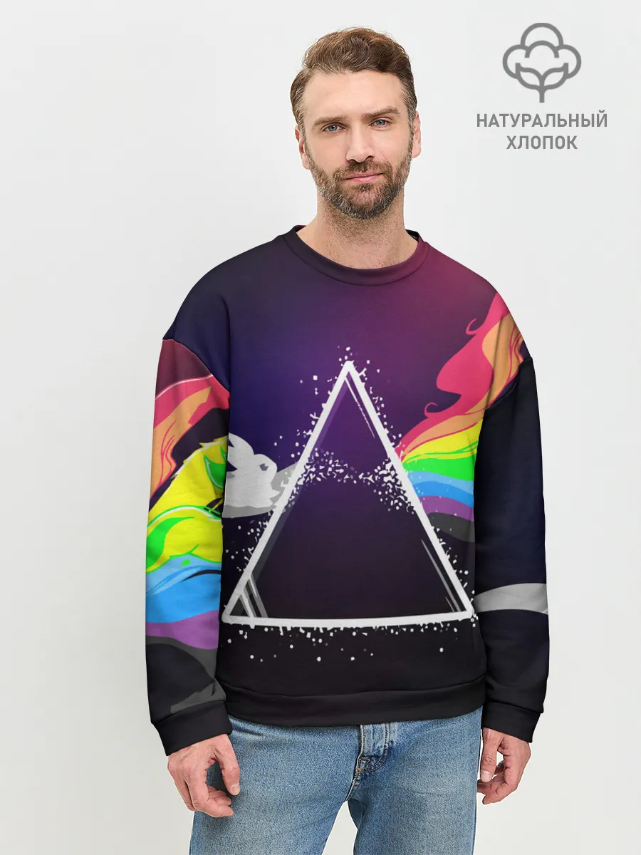 Мужской свитшот базовый / PINK FLOYD
