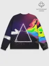 Мужской свитшот базовый / PINK FLOYD