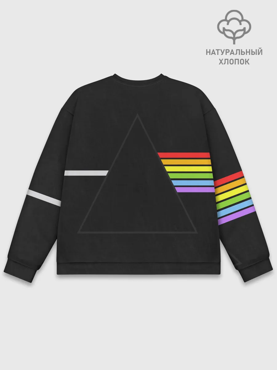 Мужской свитшот базовый / PINK FLOYD