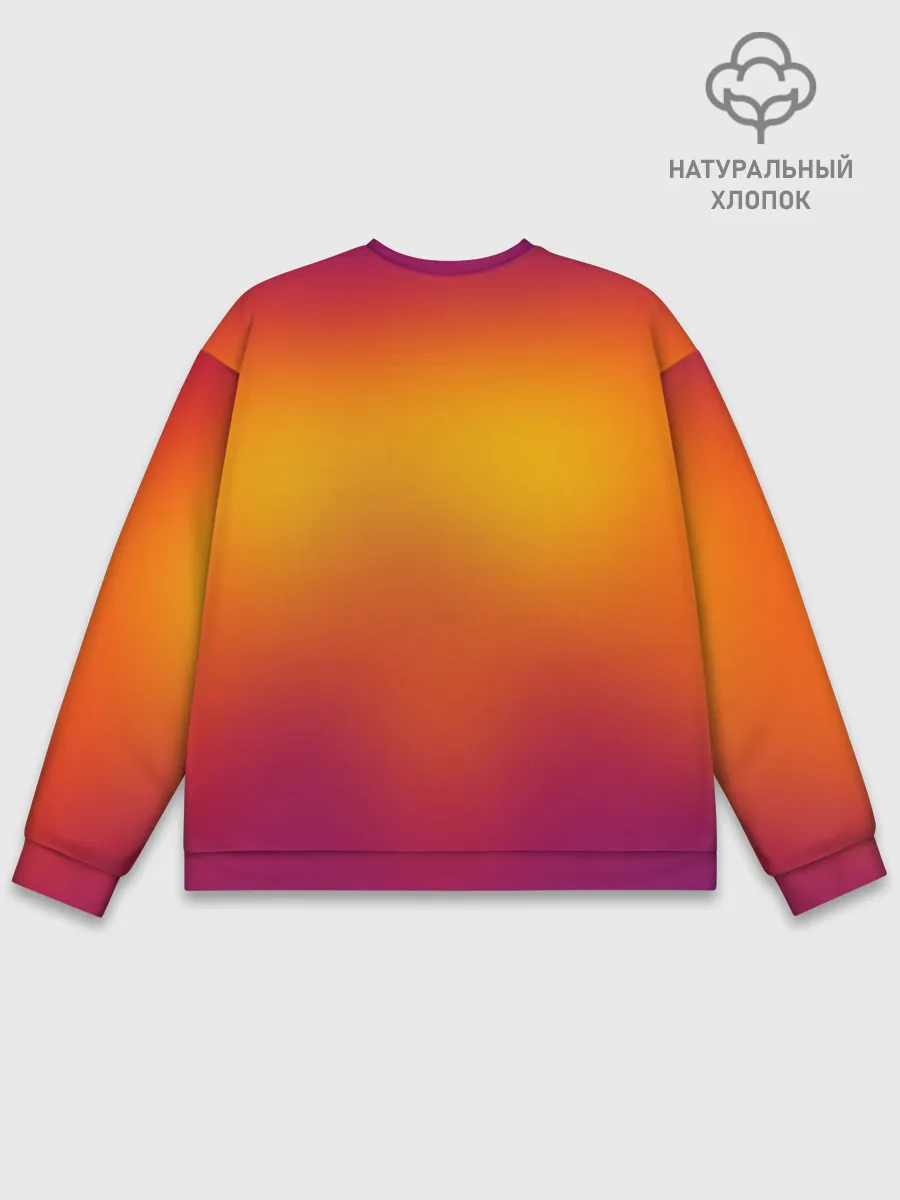 Мужской свитшот базовый / BORDERLANDS 3