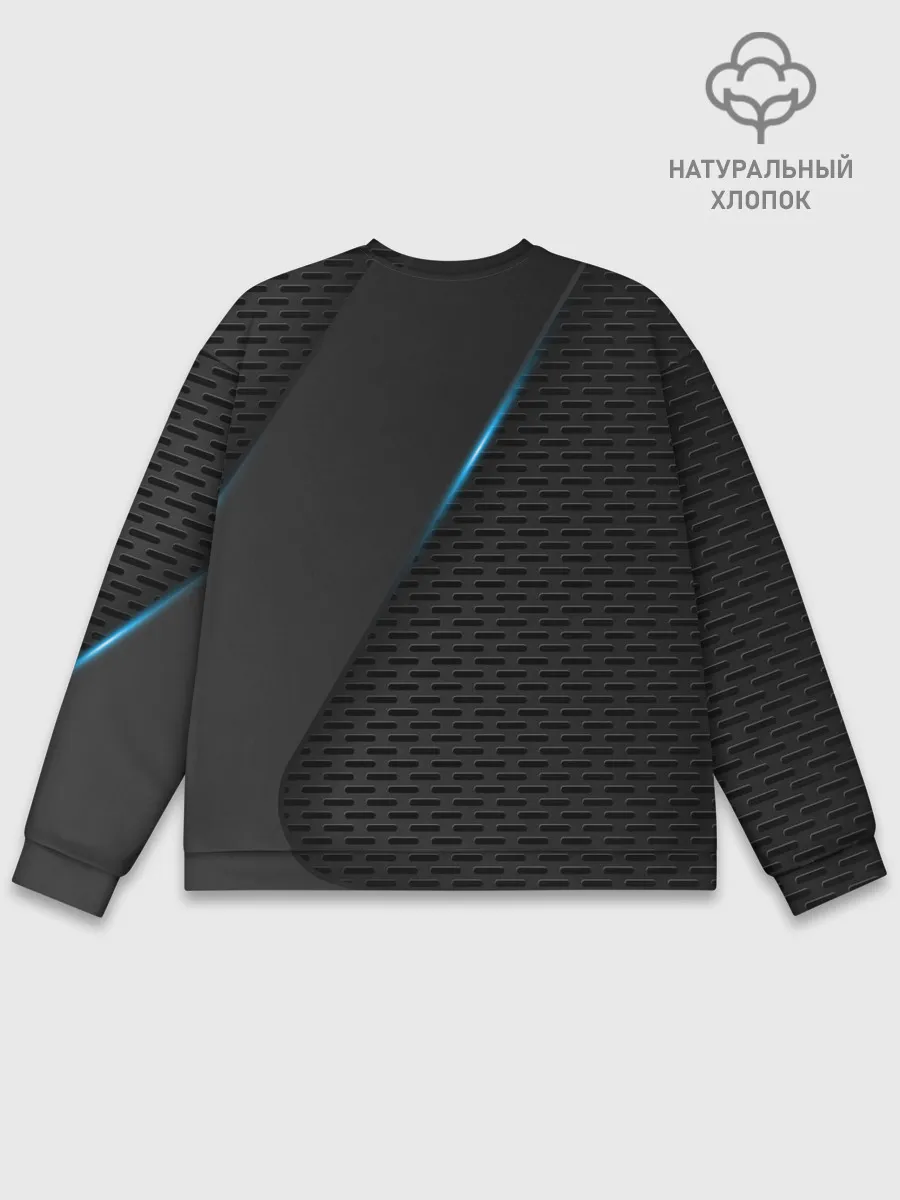 Мужской свитшот базовый / S.T.A.L.K.E.R.