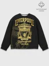 Мужской свитшот базовый / Ливерпуль