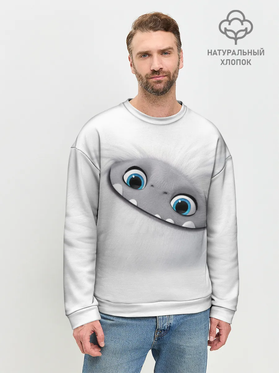Мужской свитшот базовый / ABOMINABLE