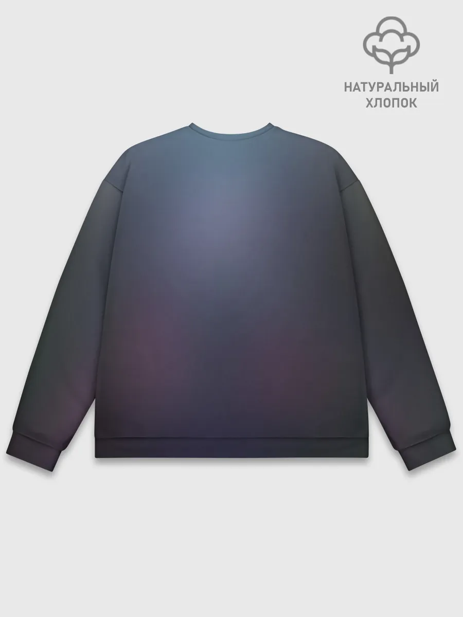 Мужской свитшот базовый / ноль два облик