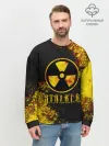 Мужской свитшот базовый / S.T.A.L.K.E.R.