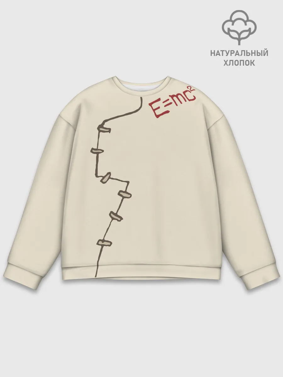 Мужской свитшот базовый / Уравнение Эйнштейна