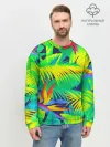 Мужской свитшот базовый / ТРОПИКИ
