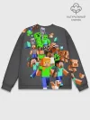 Мужской свитшот базовый / MINECRAFT ONLINE