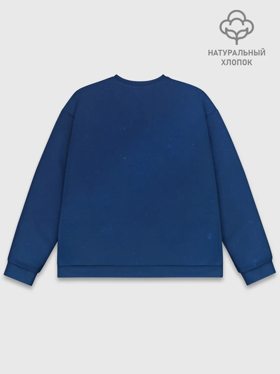 Мужской свитшот базовый / Aerial Gymnastic