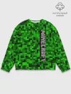 Мужской свитшот базовый / MINECRAFT