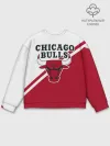 Мужской свитшот базовый / Chicago Bulls Red-White