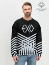Мужской свитшот базовый / EXO