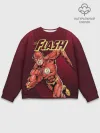 Мужской свитшот базовый / The Flash