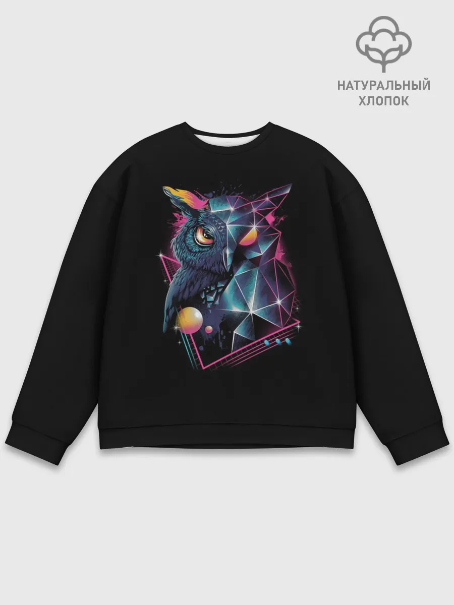 Мужской свитшот базовый / Neon net-owl